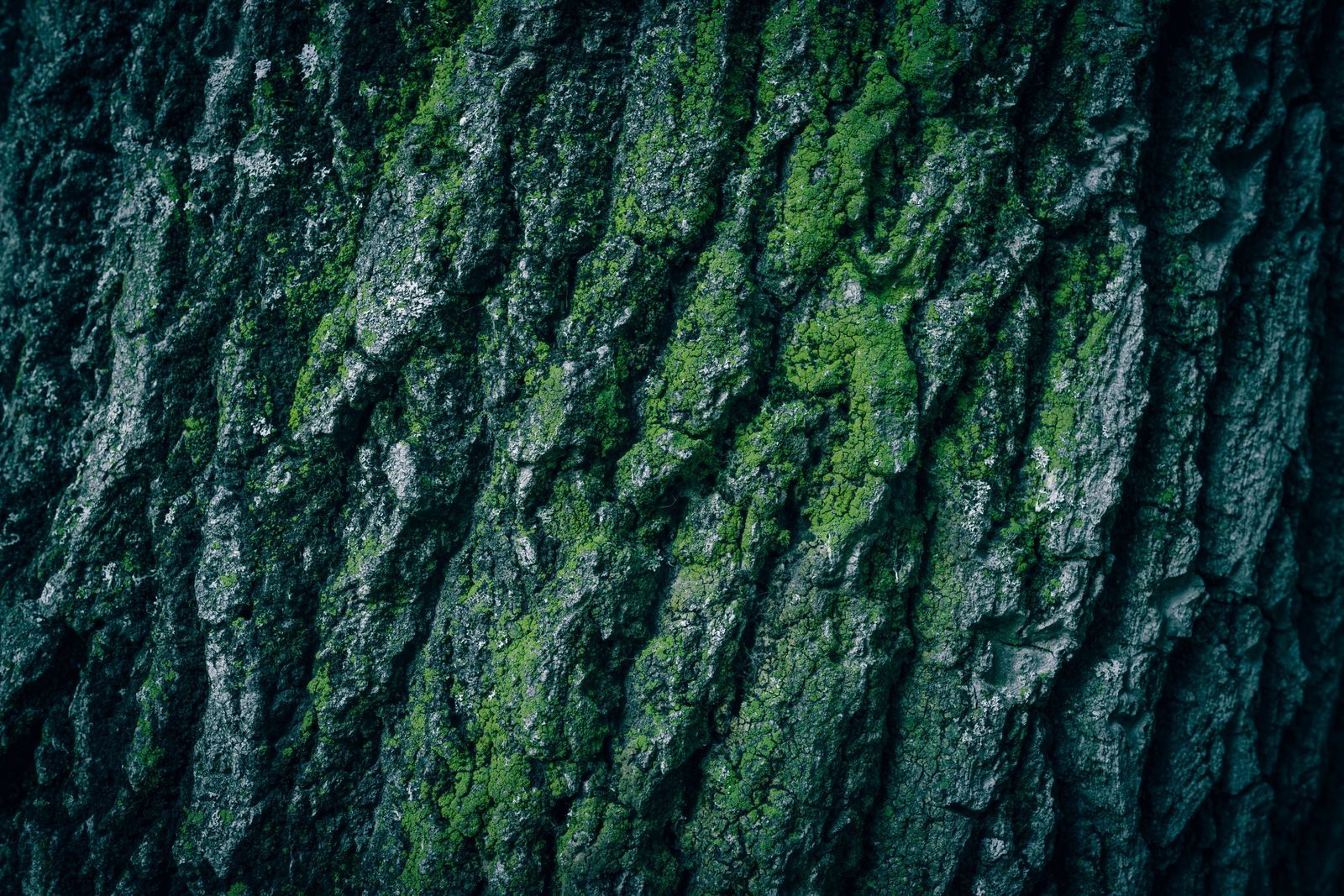 Photo from Mineralpath